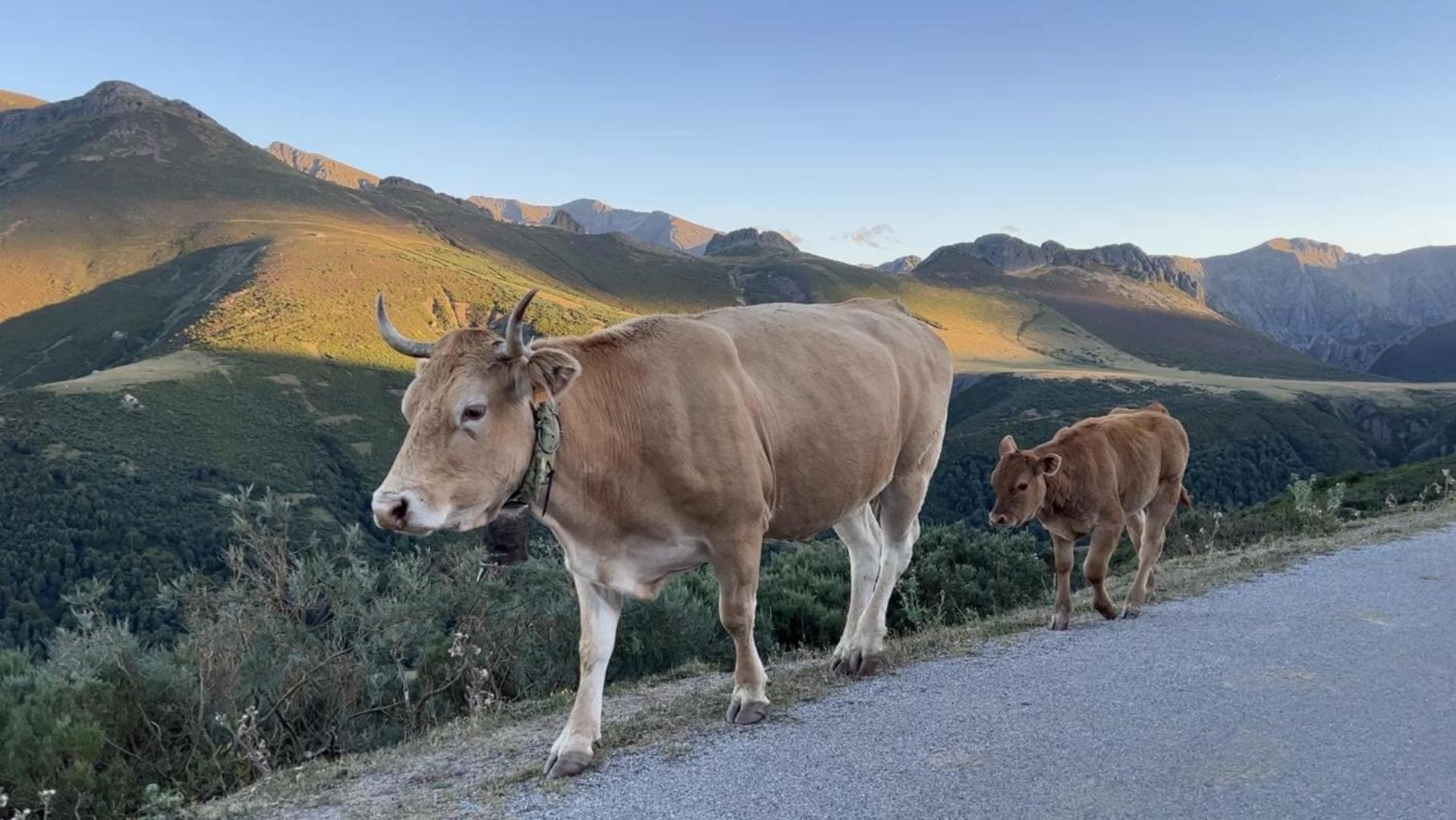 Posada La Trebede Perrozo Eksteriør billede